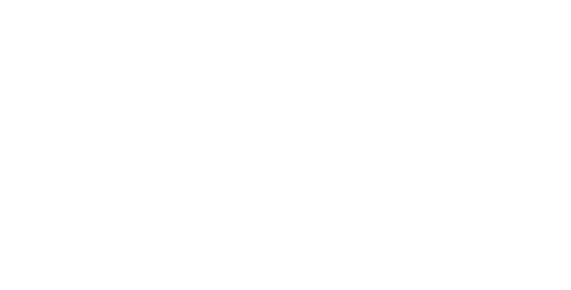 Main Sponsor - Shizen